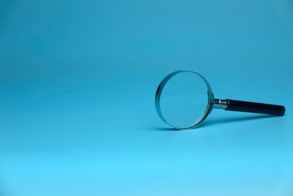 les nouveaux itinéraires pour les passionnés de photographie animalière